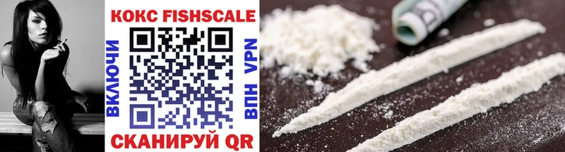 как найти наркотики  Вологда  Cocaine Fish Scale 