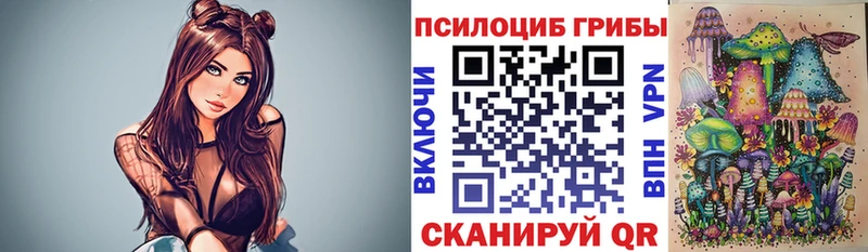Псилоцибиновые грибы мицелий  купить наркотик  Вологда 
